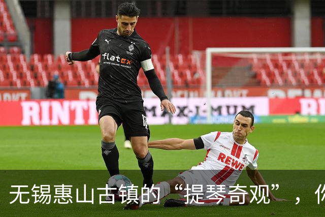 无锡惠山古镇的“提琴奇观”，你见过吗？